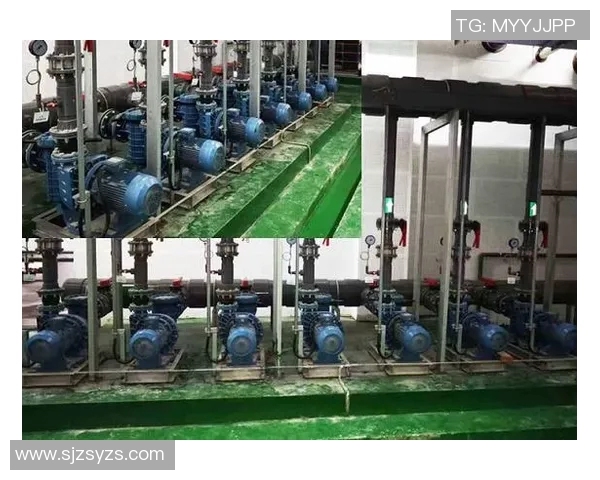 智能化泳池清洁解决方案助力打造更加清洁健康的泳池环境